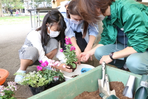 寄せ植え教室