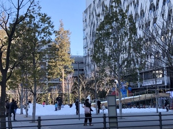 ソトニワに敷かれた雪