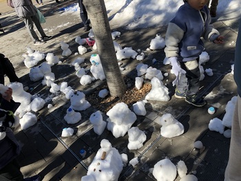 子どもたちが作った雪だるまたち