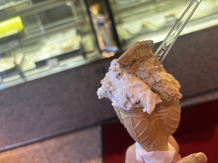 チョコチップ&モカ