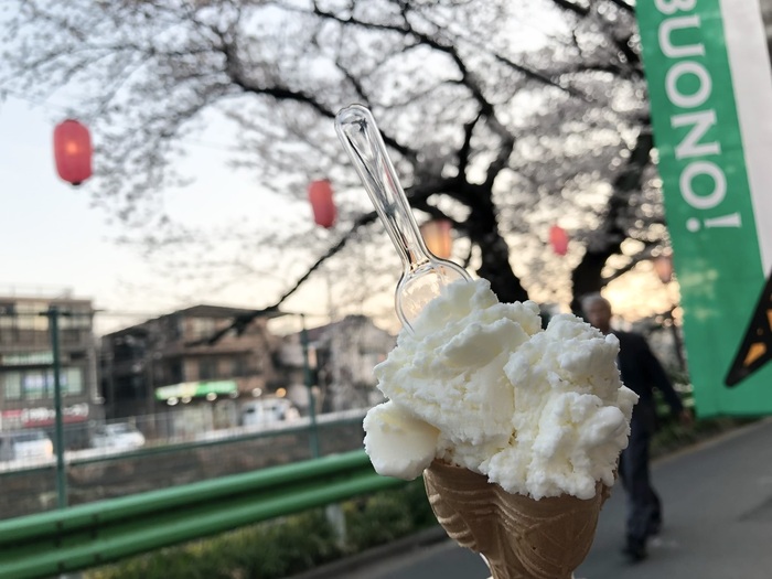 桜塩ミルクジェラート