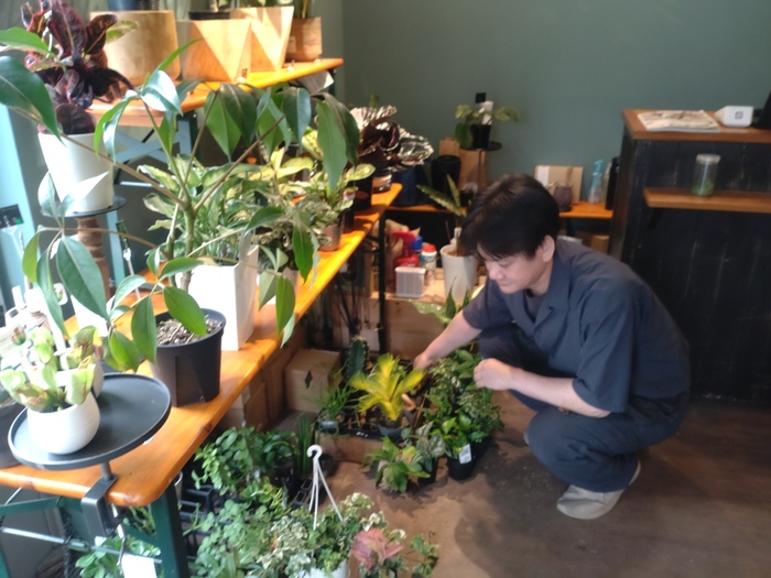 店主川岸さんと植物