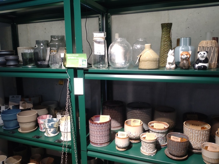 t多種多様な鉢植え