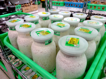 オオクワガタの幼虫が入った菌糸ビン