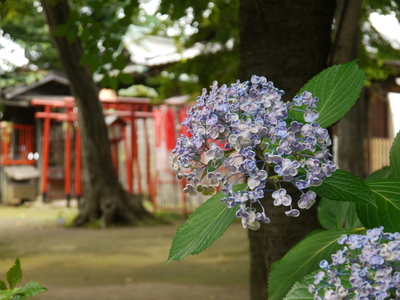 天神北野神社付近