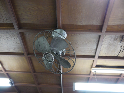 天井の扇風機