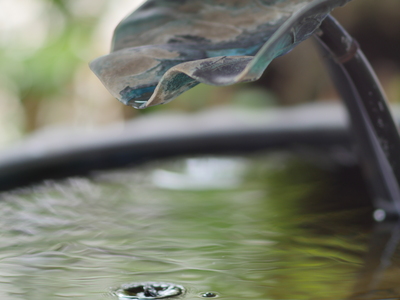 梅照院のスポット