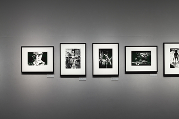 細江英公「薔薇刑」シリーズ