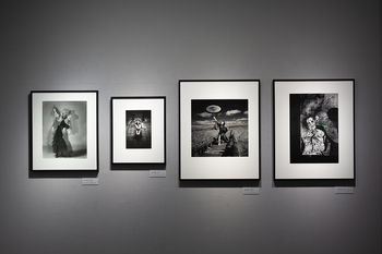 細江英公「胡蝶の夢」シリーズ