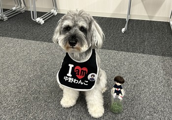 中野わんこプロジェクト