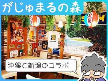 がじゅまるの森バナー