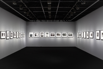 写大ギャラリー