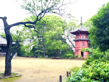 哲学堂公園の時空岡