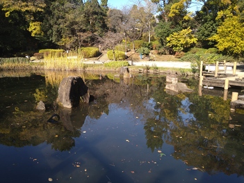 哲学堂公園の菖蒲池