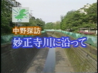 中野探訪　妙正寺川に沿って