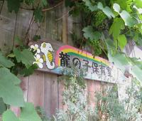 緑のカーテンの中に手作りの看板