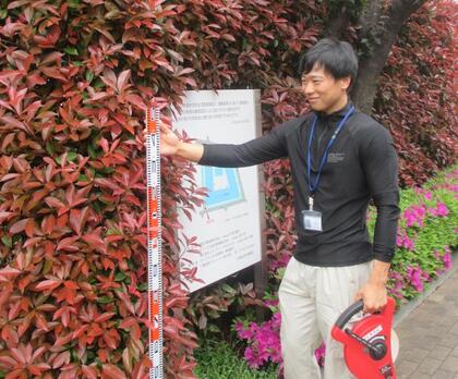 造園職の職員が生け垣を調査している写真